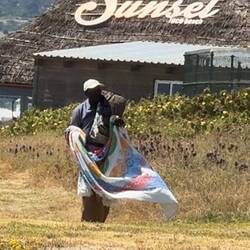 Hard working man