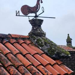 Love the rooster weathervanes.