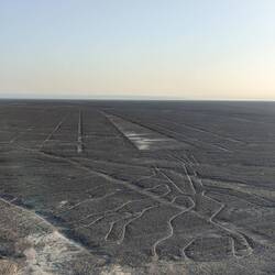 Nasca Linien