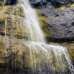 Waterfall behind the guesthouse