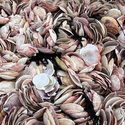 Shell decorations on the beach