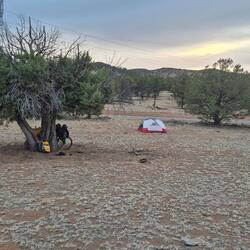Trotz Grasbüschel hier und da, war Sand und Staub der vorherrschende Bodenbelag