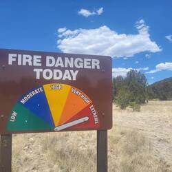 Die Amerikaner bezeichnen diesen Zustand des Waldes als "crispy" also knusprig