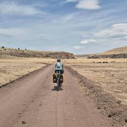 Durch solche Einöden mussten wir uns immer wieder mal für ein paar Stunden kämpfen