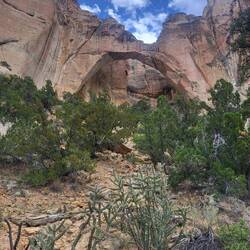 Bögen bauen können sie