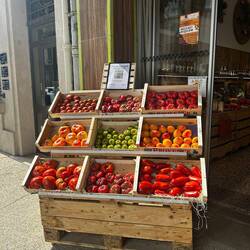 All difference tomatoes we have tried a few while in france