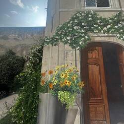 The jasmine over the door links upto the really jasmine