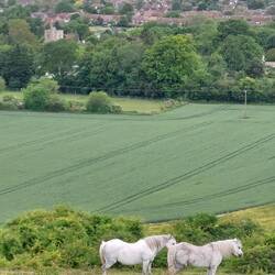 Barton Hills; View of Barton-le-Clay village