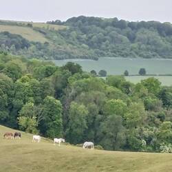 Barton Hills; View of the Sharpenhoe Clappers