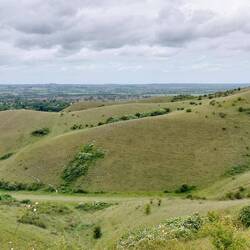The Barton Hills
