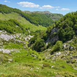 Hier sieht man noch Weg.