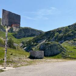 Ein verlorener Basketballkorb. Davon sieht man tatsächlich öfter mal welche.