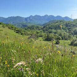 Noch ein paar km, dann sind wir da