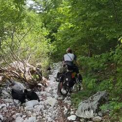 Hier ist der Weg dann weg.