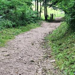 Der Waldweg ist gegen Starkwasserereignisse gewappnet