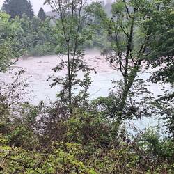 Der Fluss dampft wieder