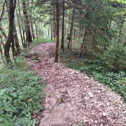 Sehr steile Abkürzung zum CP runter, spart etliche Meter