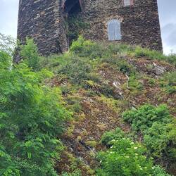 Ruine Nöllig