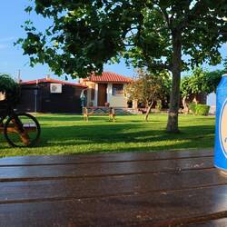 Alkoholfreies Bier gibt's mittlerweile auch in Griechenland überall, allerdings nur in Dosen