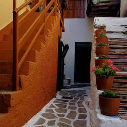 I love these colors!