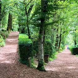 Wir sind mehr als 6 km durch die Gärten gewandert....