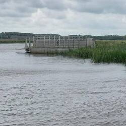 diese ist nur für Viehherden