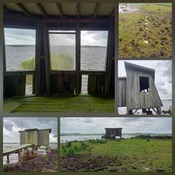 Vogelbeobachtungshütte: Enten, Schwäne und Gänse haben wir gesehen