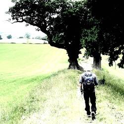 on the dyke