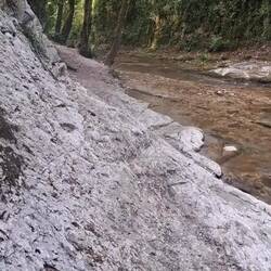 Milù "Sor Schumacher" 🏎😄