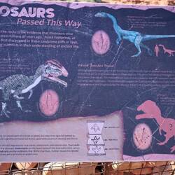 Ein kurzer Trail startet am Campground