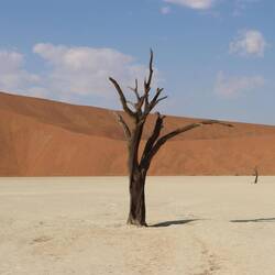 ...vor rund 1000 Jahren entstanden sind