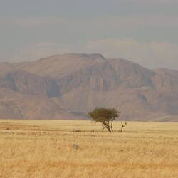 ...es ist unglaublich wie facettenreich Namibia ist...