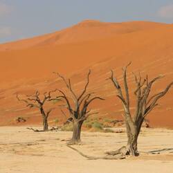 ...der etwas ruhiger ist...