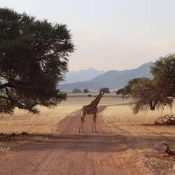 ...die Warnung ist Ernst zu nehmen