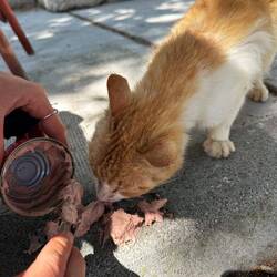 Sie kann ihr Glück kaum fassen