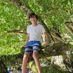 The tree we were under was an excellent climbing tree.