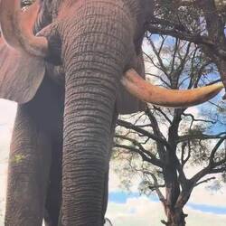 Hier noch ein Ausschnitt aus der Sphere