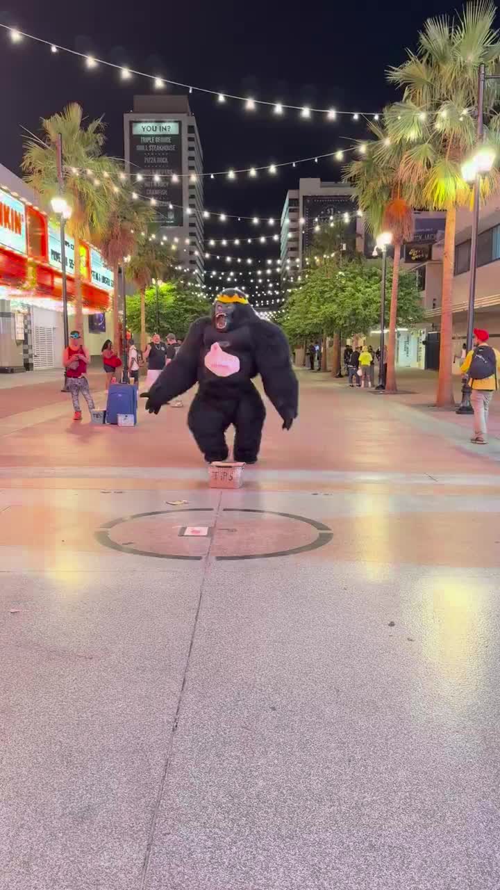 Ist er nicht total klasse ?!!