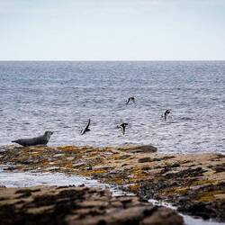 Mit der großen Kamera aufgenommen