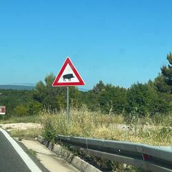 Achtung Wildschweine🐗 Zufällig Leibspeise der Gallier...