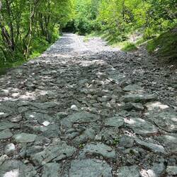 Ob Asterix und Obelix hier waren?