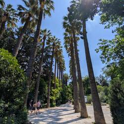 Im Botanischen Garten