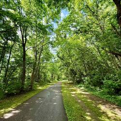 Little Miami Rail Trail