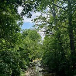 Little Miami Rail Trail