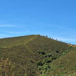 We climbed to this point