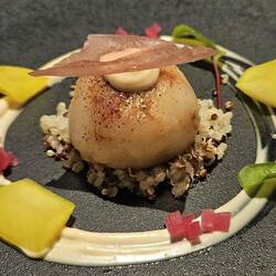 ... kultiviert ... im Nova ...