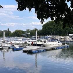 Schiersteiner Hafen mit Solaris