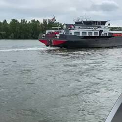 Kurz hinter der Schiersteiner Brücke werden wir überholt