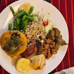 Lama, Huhn und Meerschweinchen