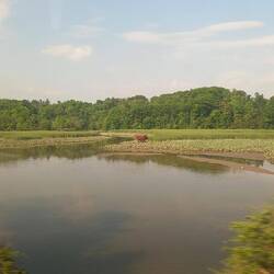 Blick aus dem Fenster.